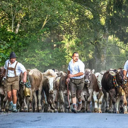 Ferienhaus Eschach *