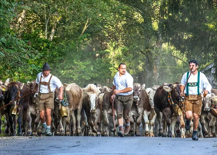 Ferienhaus Eschach *